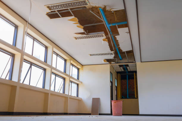 Best Sewage cleanup and water damage restoration  in Doolittle, TX