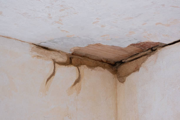 Best Water damage restoration near me  in Doolittle, TX