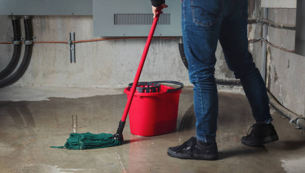 Best Water damage restoration services  in Doolittle, TX