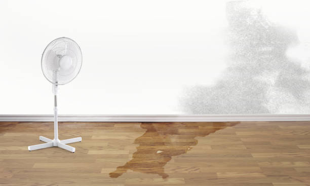 Best Water damage restoration near me  in Doolittle, TX