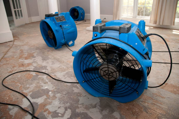 Best Flood restoration services  in Doolittle, TX