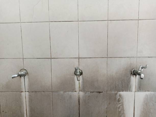 Best Basement water damage restoration  in Doolittle, TX