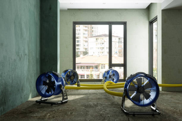 Best Flood restoration services  in Doolittle, TX