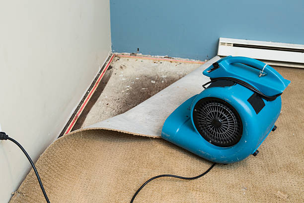 Best Flooded house restoration  in Doolittle, TX